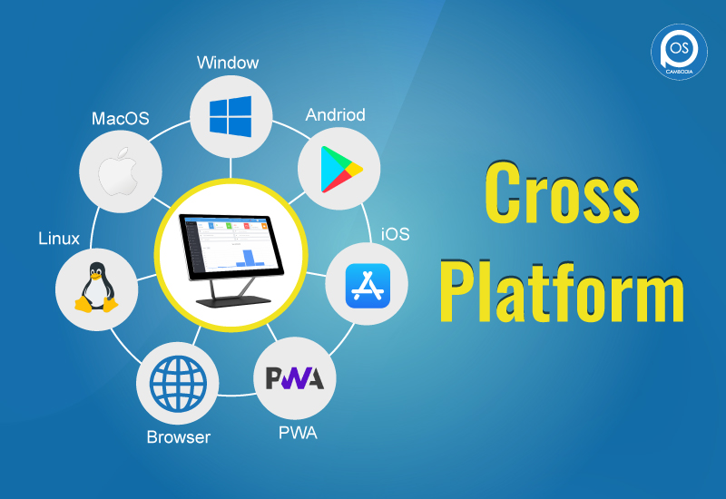 Dynamic cross-platform POS software